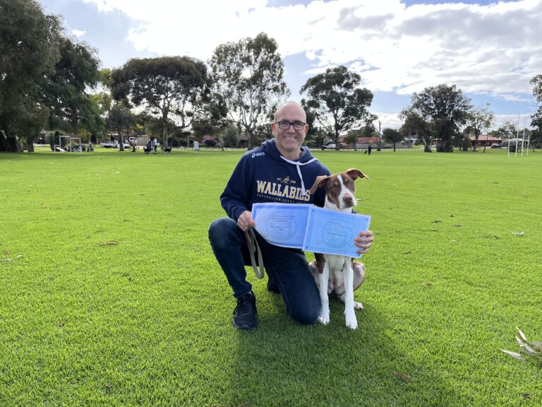 Man with dog during agility training session in a park setting.