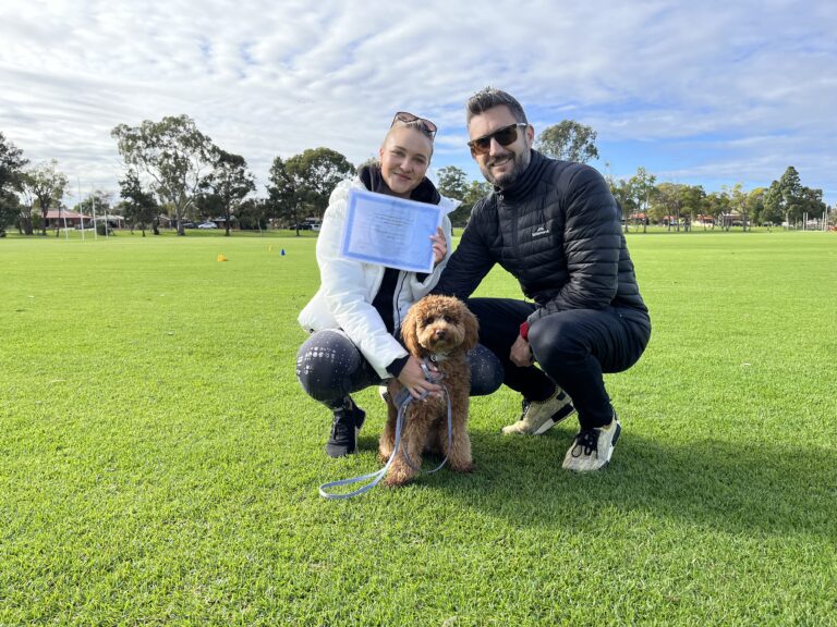 Happy dog training session outdoors with owner and trainer at Agile Dogs.