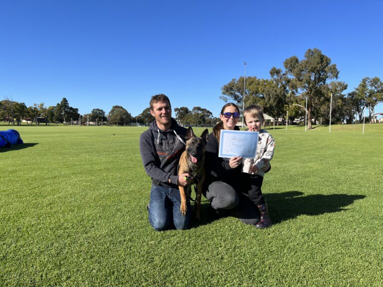 Happy dog training graduates with their certificates at Agile Dogs.