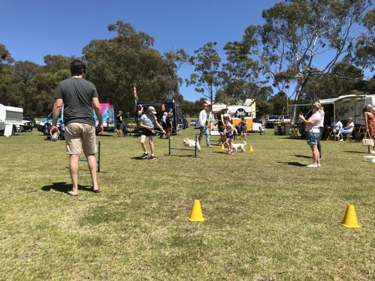 Agile Dogs dog training session outdoors with handlers and dogs in a park.