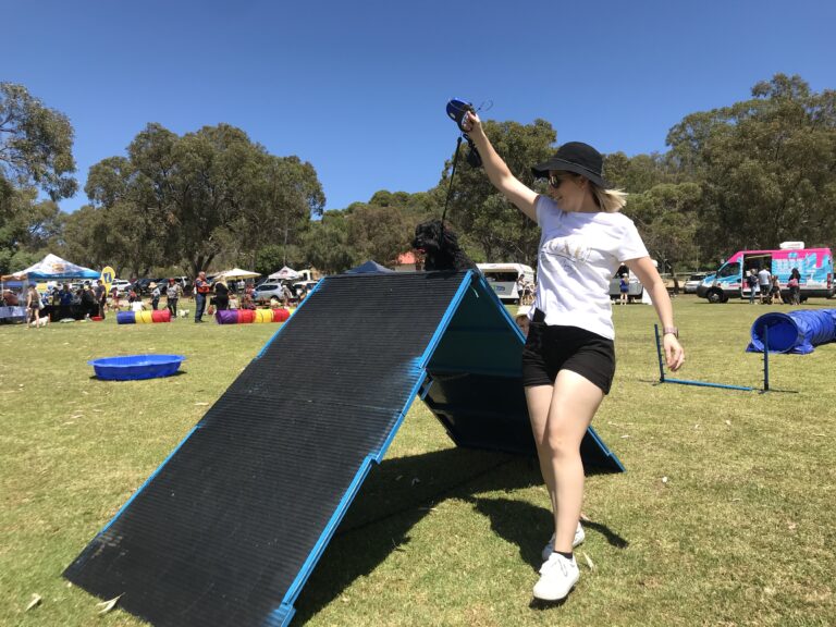 Agile Dogs dog agility training with a woman guiding her dog through an obstacle.