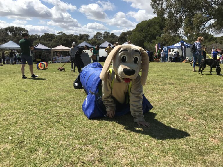 Dog agility mascot at outdoor event, playful dog costume on grass.