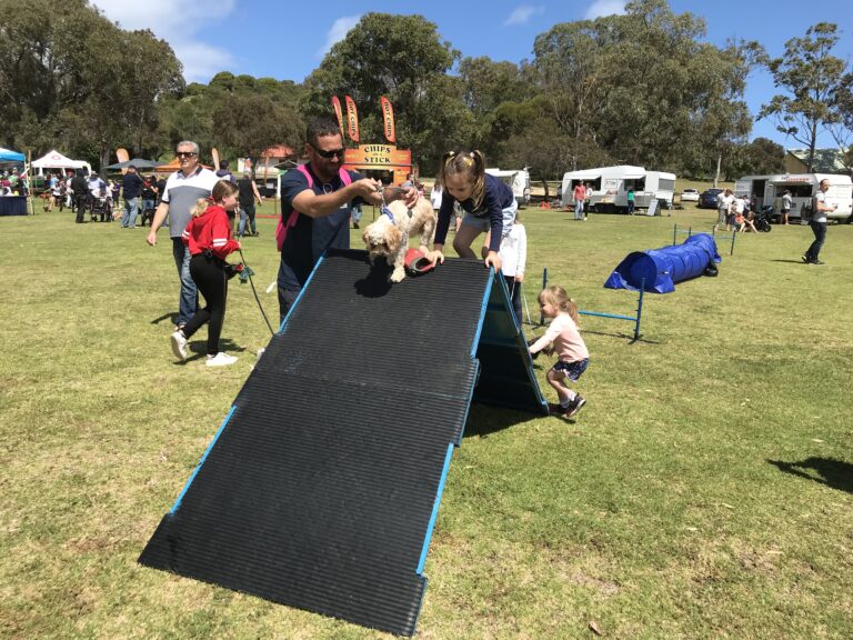 Agile Dogs dog agility training event with dogs and handlers on a ramp.
