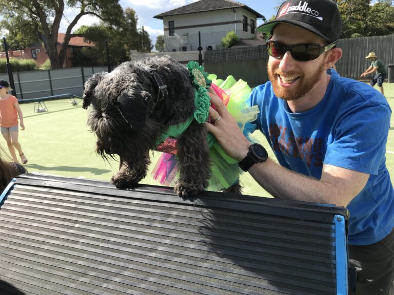 Dog agility training session with a trainer and a black dog wearing a colorful tutu.