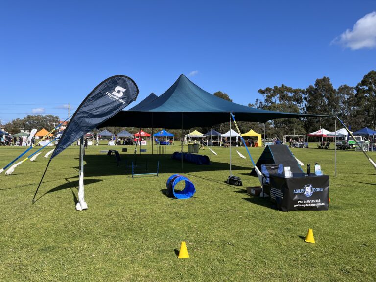 Agility Dogs outdoor agility course setup with equipment and tents.