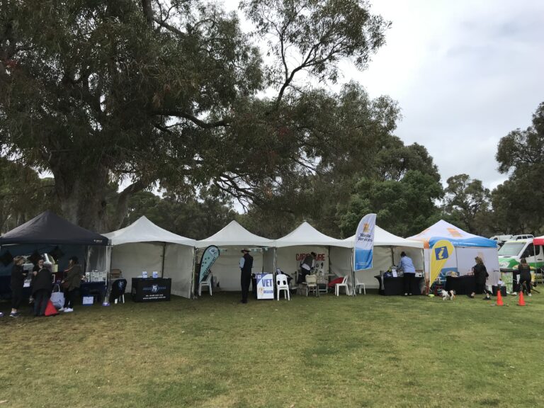 Dog training event with multiple tents and participants outdoors.