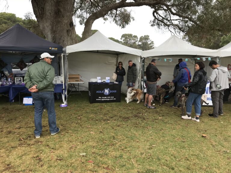 Group of people and dogs at an outdoor dog training event under tents.