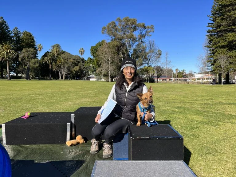 Woman with dog during agility training in a sunny park setting.