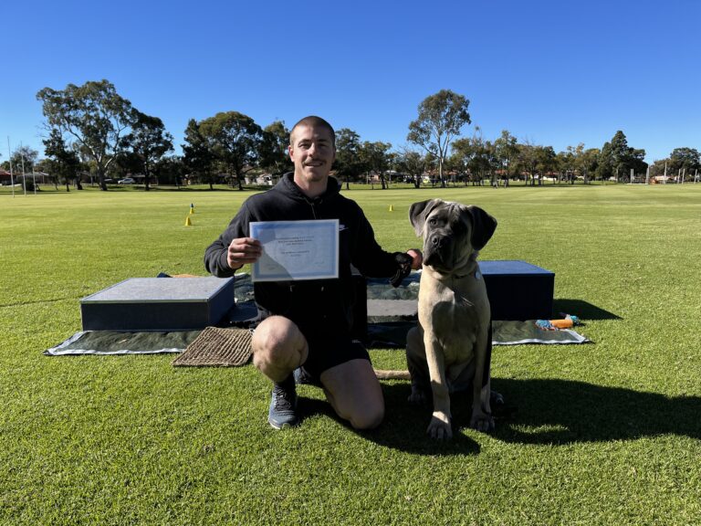 Man with large dog holding certificate during training session outdoors.