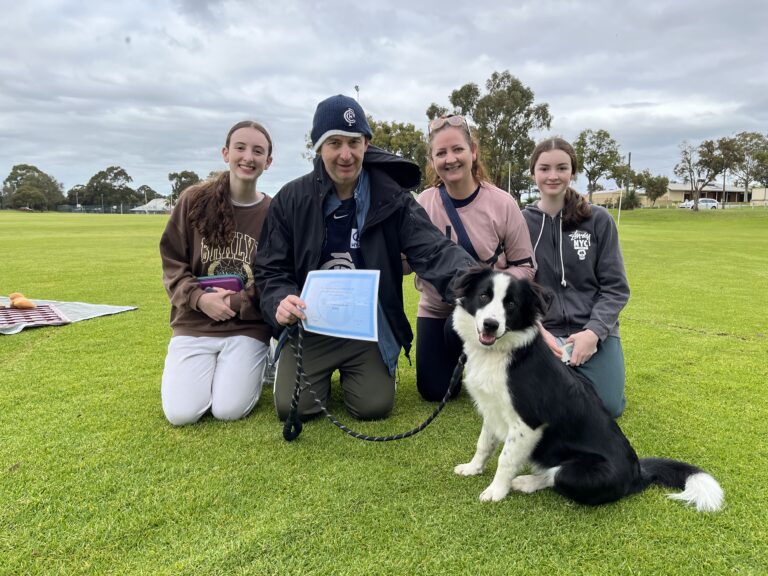 Dog training, family, outdoor, agility, obedience, pet care, dog trainer, community.