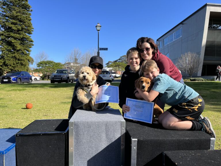 Dog training, family, puppies, outdoor, agility, positive reinforcement, obedience, training session.