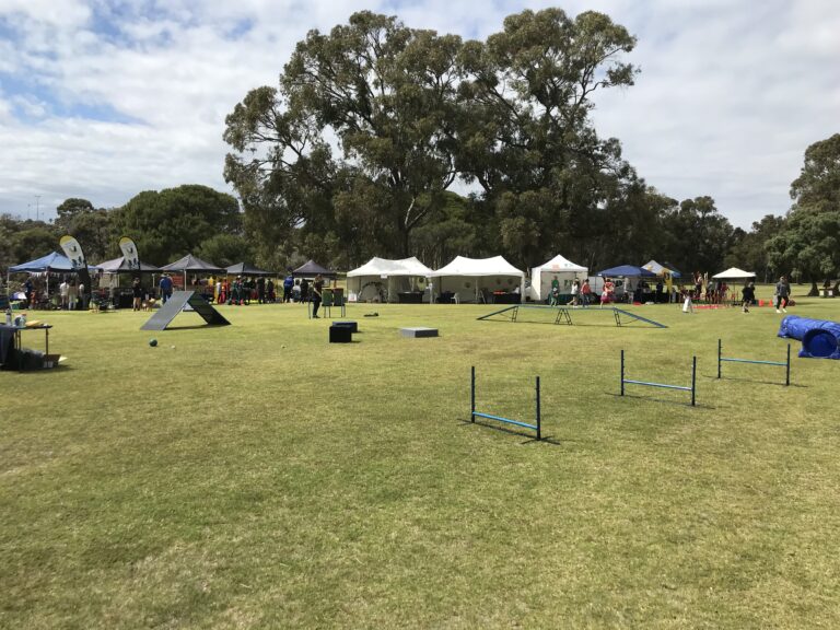 Agile Dogs outdoor agility training and competition setup with tents and obstacles in a park.