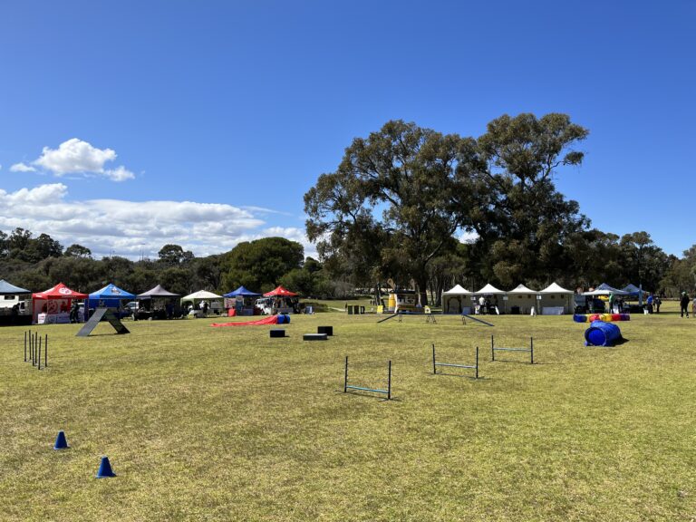 Agile Dogs agility training field with obstacles and equipment for dog agility exercises.