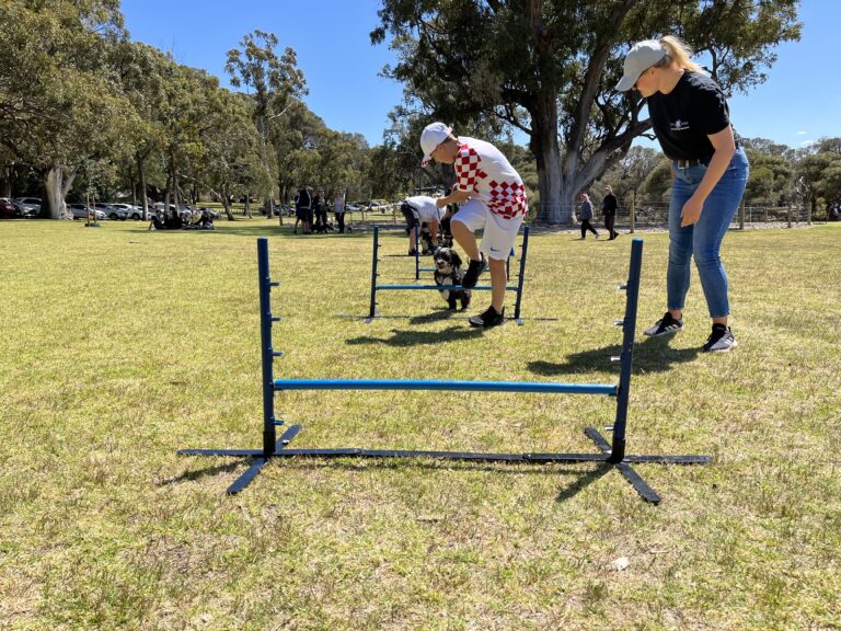 Agile Dogs agility training session with dogs and handlers outdoors in a park setting.