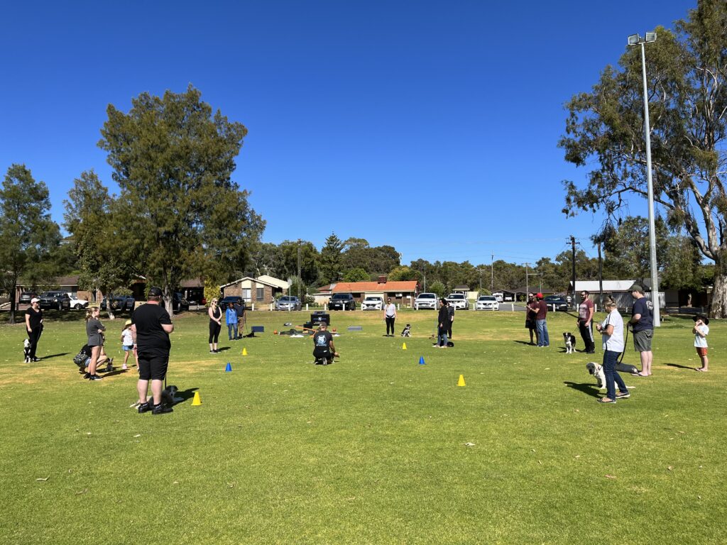Dog agility training class outdoors on a sunny day with participants and their dogs.