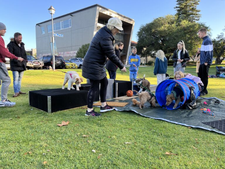 Agile Dogs dog training session with puppies and handlers outdoors.