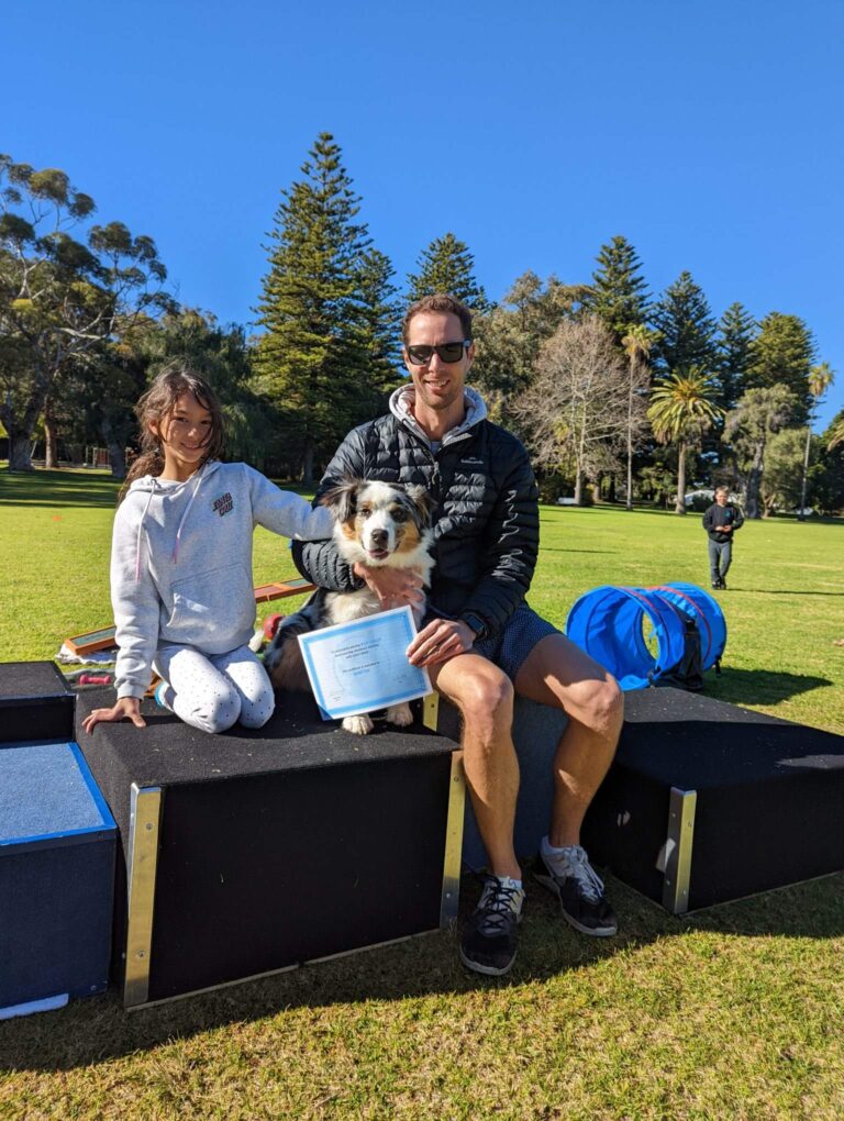 Dog agility training, park, Border Collie, outdoor activity, agility course, family fun.