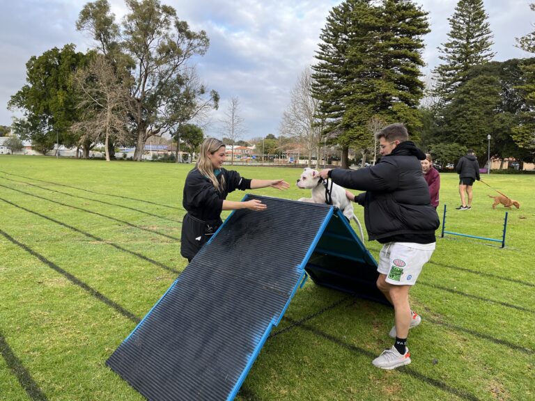 Dog agility training session at Agile Dogs with a handler and a dog on an obstacle course.