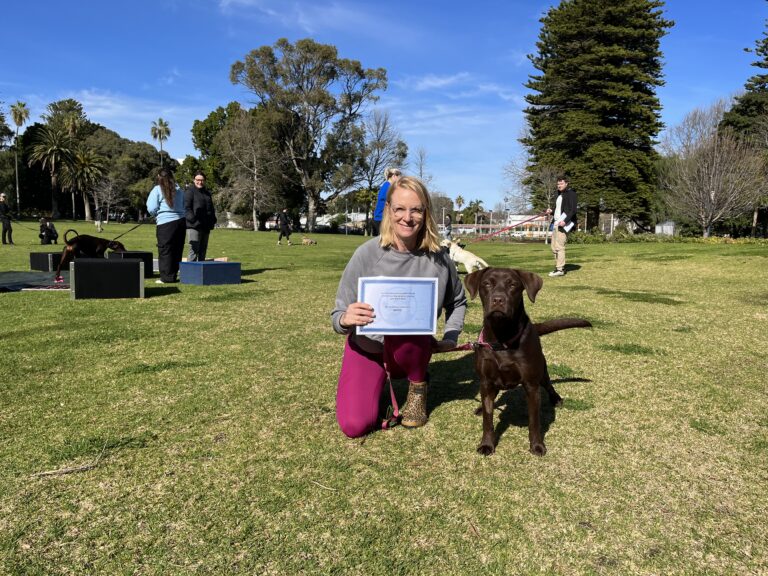 Dog training certification awarded at outdoor agility event with smiling woman and her Labrador Retr.