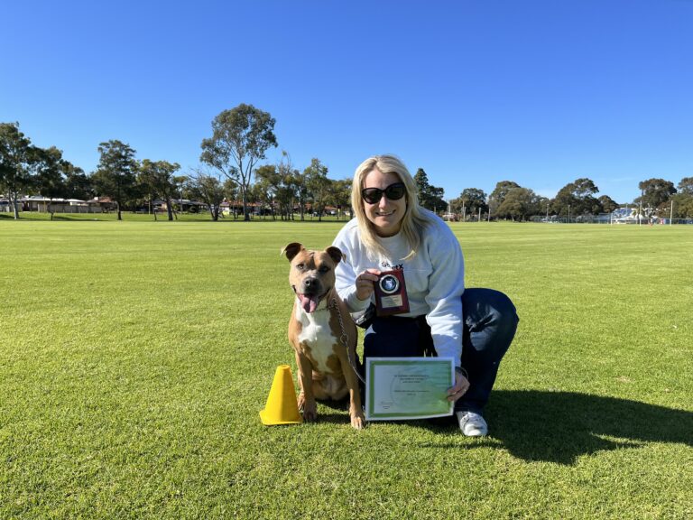 Woman with dog during agility training session in park.