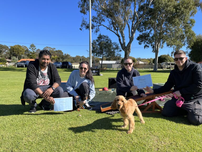 Group training session with dogs at Agile Dogs, outdoor park setting.