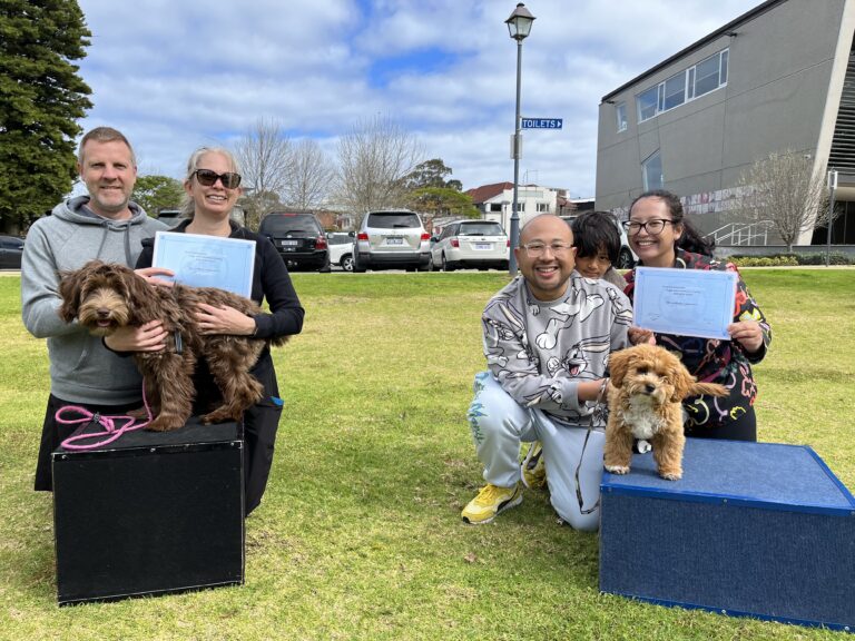 Dog training graduation with happy owners and their well-behaved dogs outdoors.