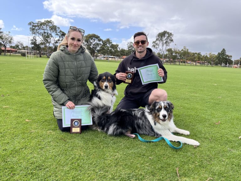 Happy dog trainers with award-winning dogs at Agile Dogs training session.
