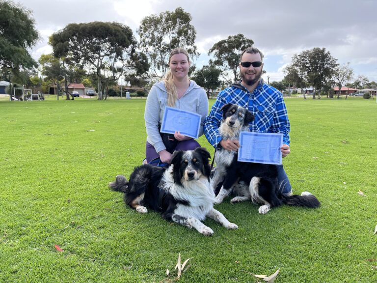 Happy dog trainers with their certified dogs outdoors in a park.