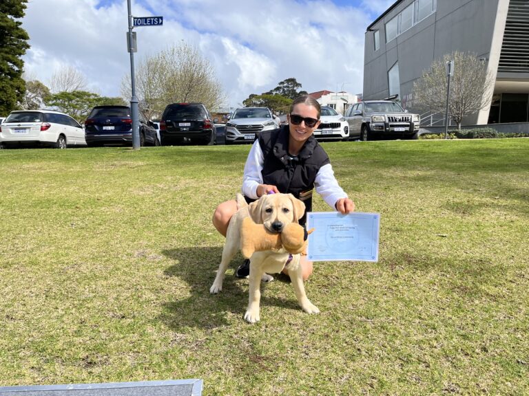 Woman with a Labrador puppy holding a training certificate outdoors.