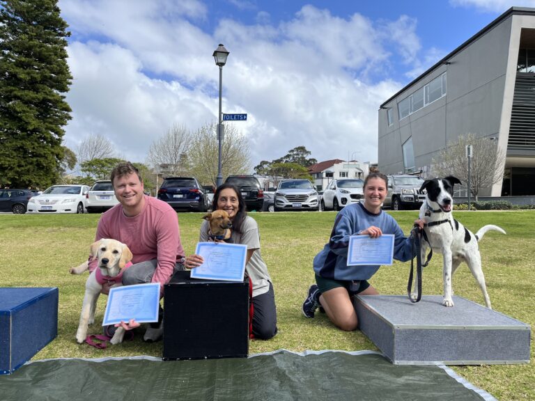 Happy winners with their dogs at Agiledogs agility competition in a park.