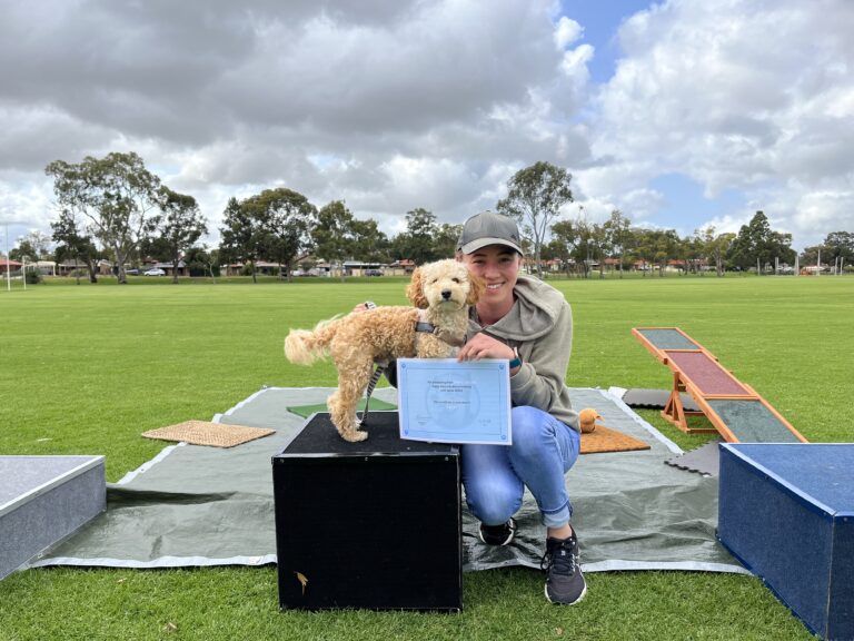 Agile Dogs training with a woman and her dog outdoors.