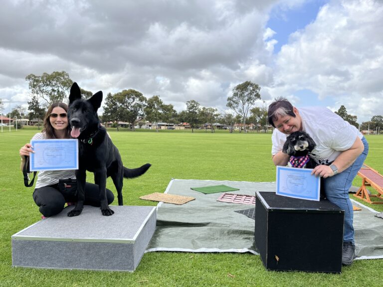 Happy dog owners with their award-winning dogs outdoors at Agile Dogs training center.