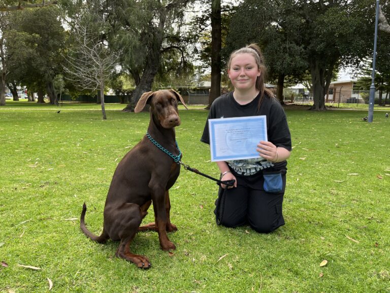 Dog training certification with Agile Dogs in a park.