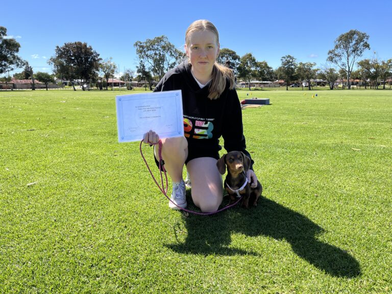 Young girl training her puppy outdoors on a sunny day in a park.