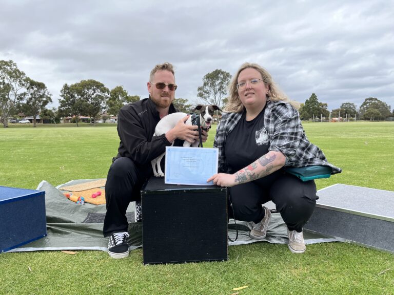 Two trainers with a dog during agility training certification at Agile Dogs.