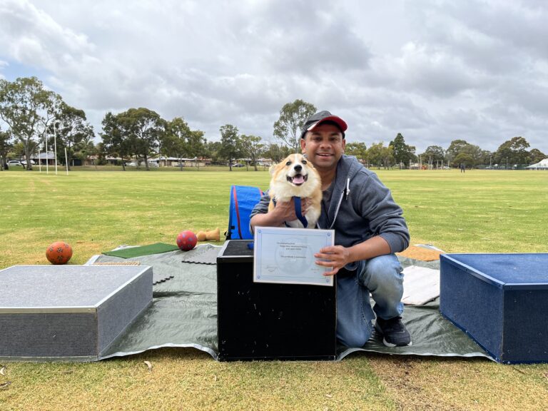 Happy dog and trainer celebrating agility success outdoors.