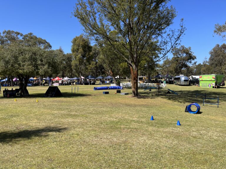 Agile Dogs training park with agility equipment and open space for dog training and activities.