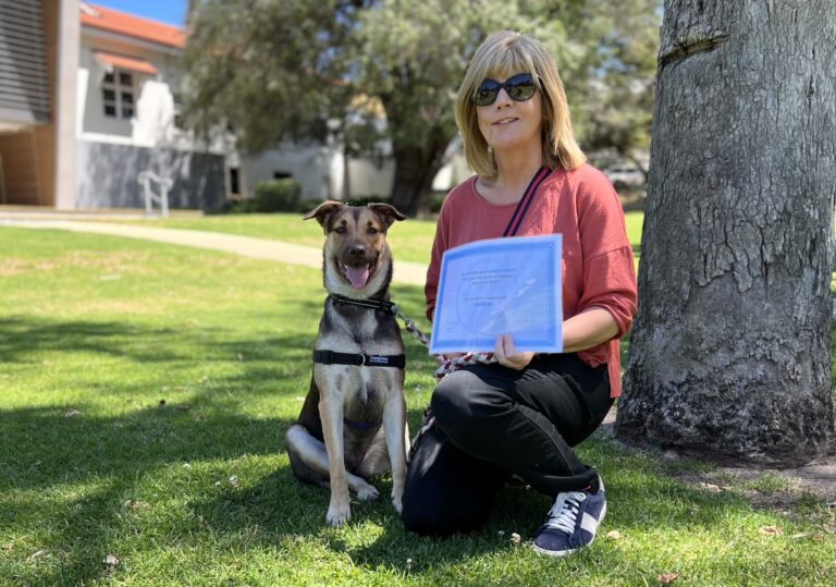 Training with Agile Dogs and a woman outdoors, demonstrating dog obedience and agility skills.