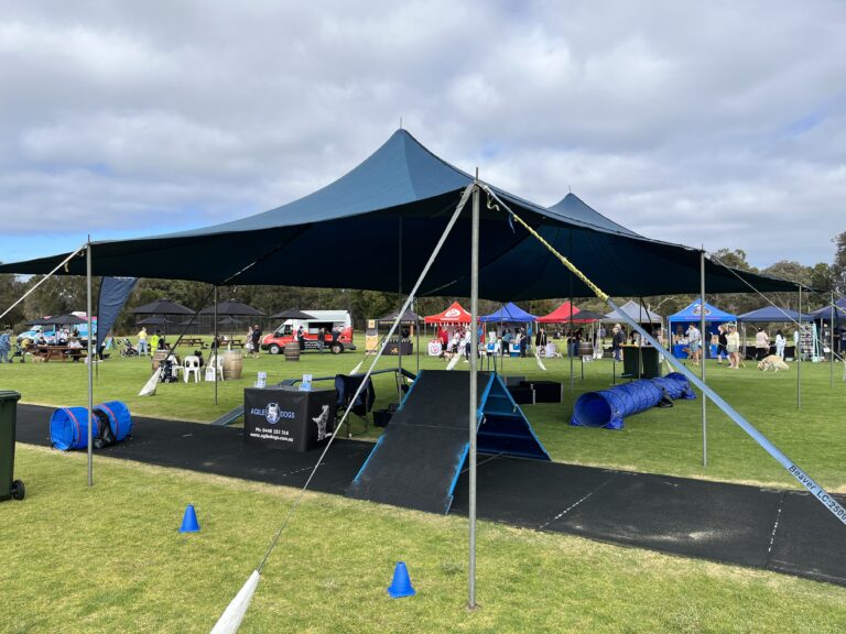 Dog agility training tent with ramps and tunnels at an outdoor event.