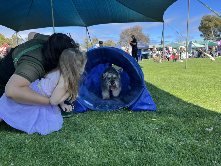 Dog agility tunnel with a dog and owner during an outdoor event.