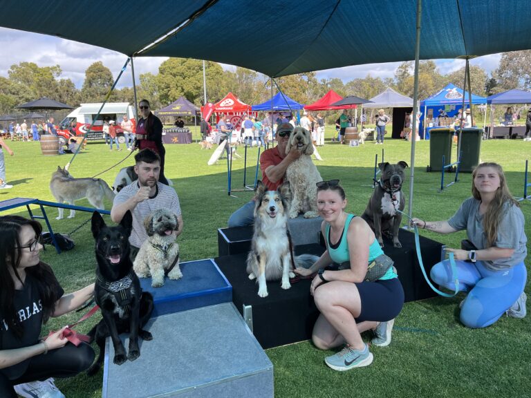Dog grooming and training event at Agile Dogs with happy dogs and owners under a large canopy.