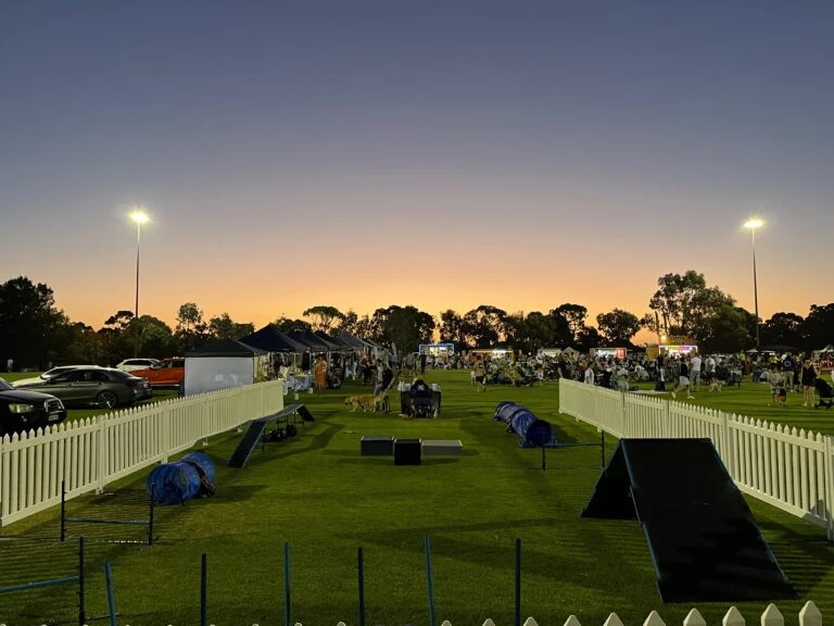 Agile Dogs training event setup with agility equipment at sunset, outdoor dog training facility, com.