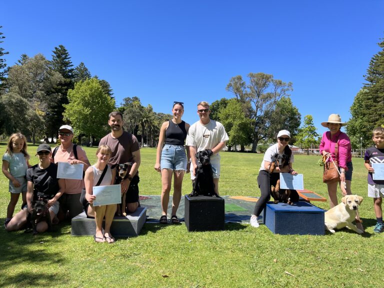 Dog training group photo at a park with people and dogs, celebrating agility achievements.