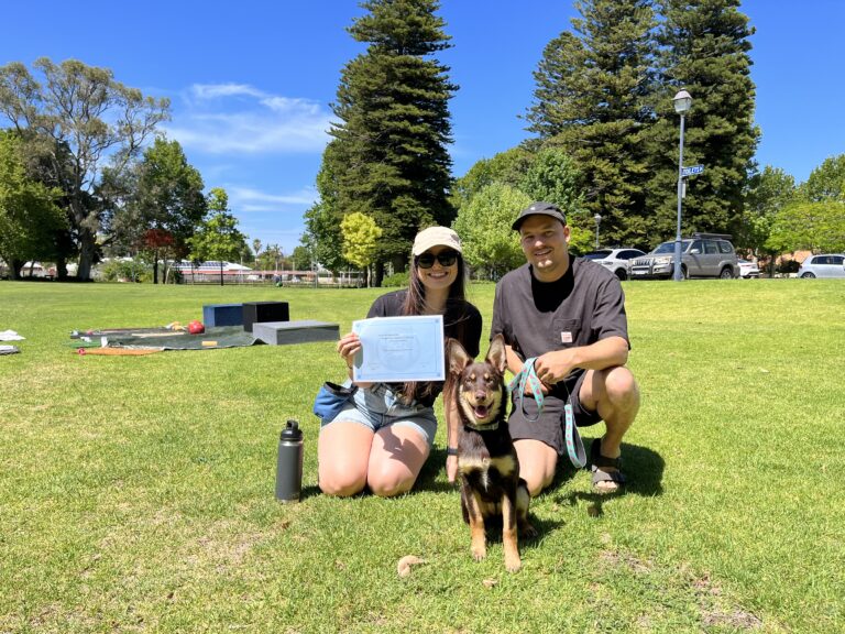 Happy dog training session outdoors with owners and dog in park.