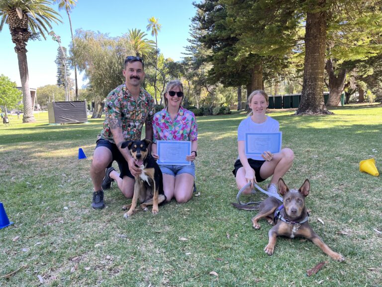 Happy dog owners with their certified dogs outdoors in a park setting.