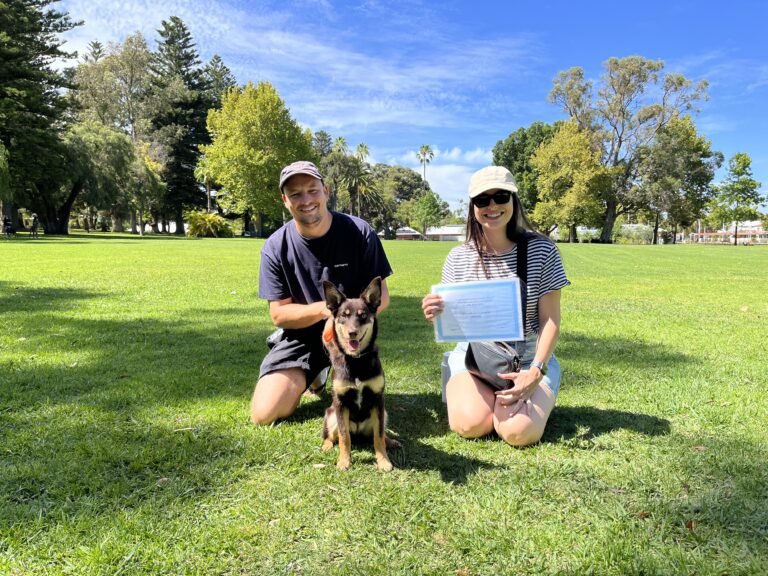 Happy dog training session with owner and trainer outdoors in park.