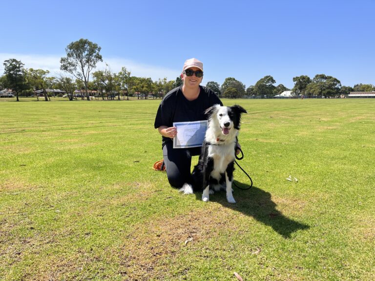 Woman with Border Collie during training session in park.
