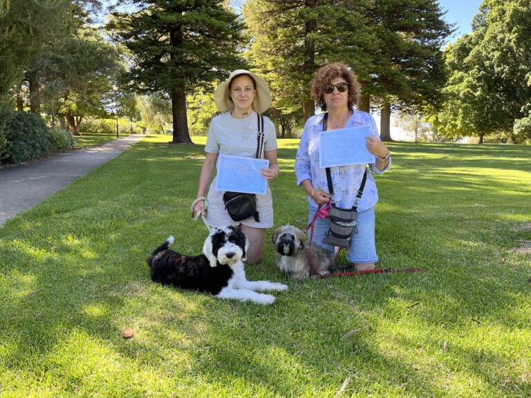 Two women with puppies during dog training session in a park on a sunny day.