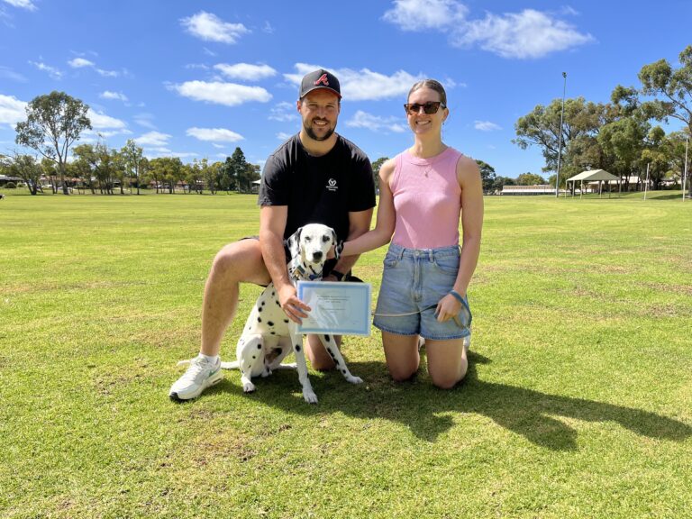 Dog training certification ceremony outdoors with a Dalmatian and two people.
