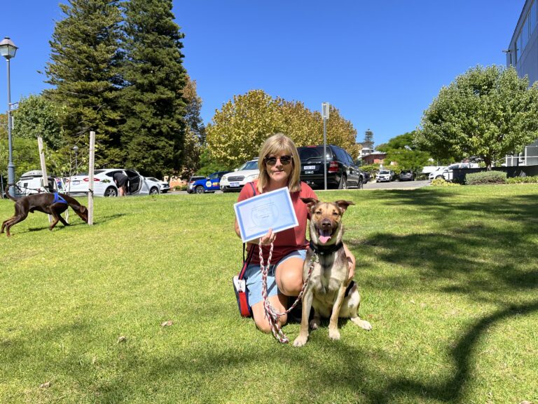 Dog training certification outdoors in a park with a woman and her dog.